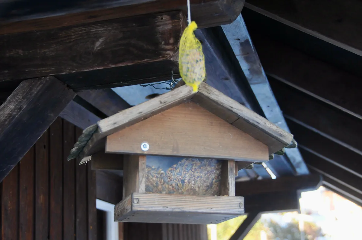 Man sieht ein hängendes Vogelhäuschen.